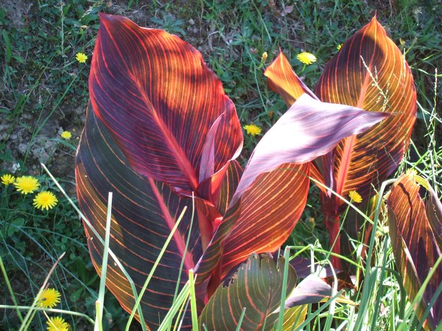 2013_0107Image0013