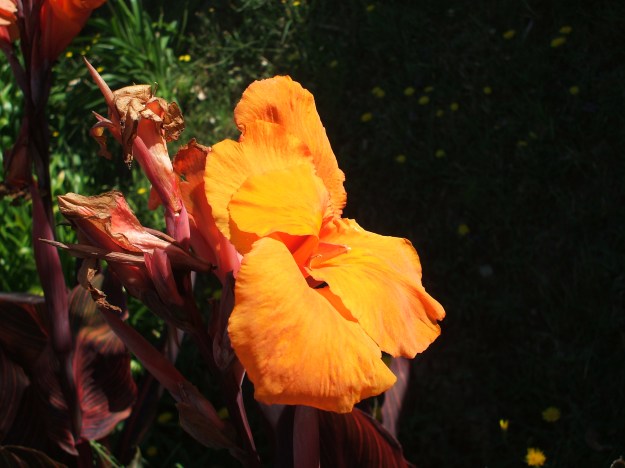 2013_0107Image0014