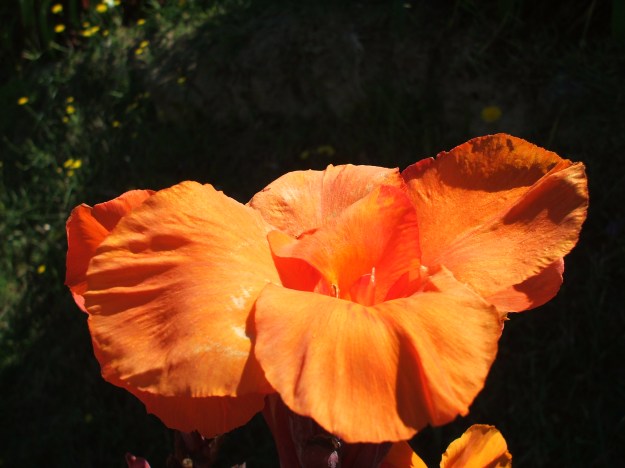2013_0107Image0015