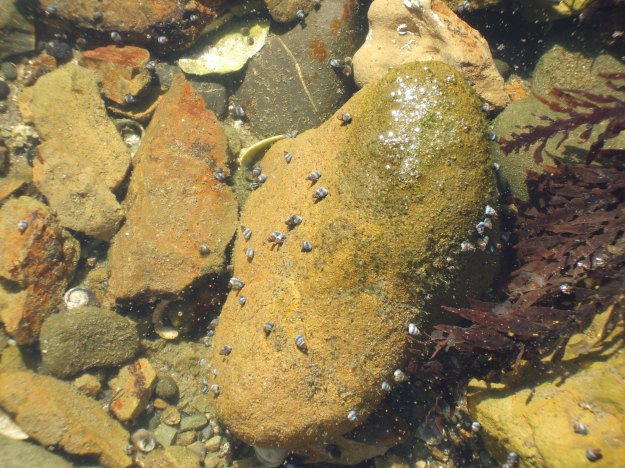 2013_0128Image0046