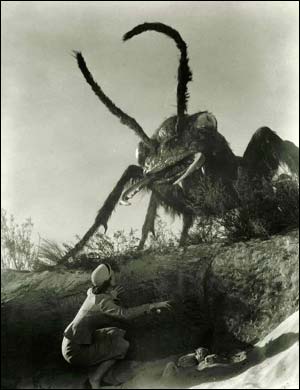 ant