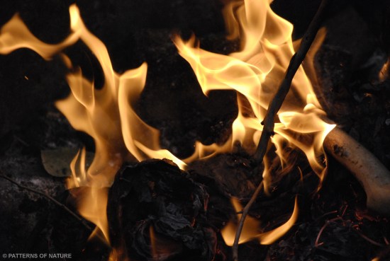 FIRE 2