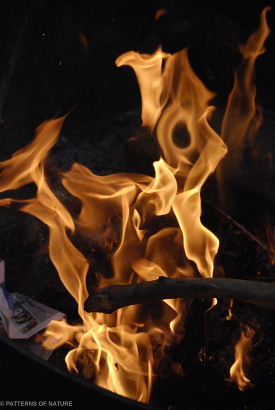 FIRE 3