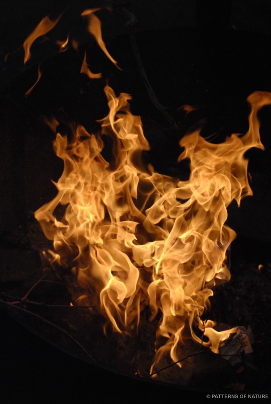 FIRE 5