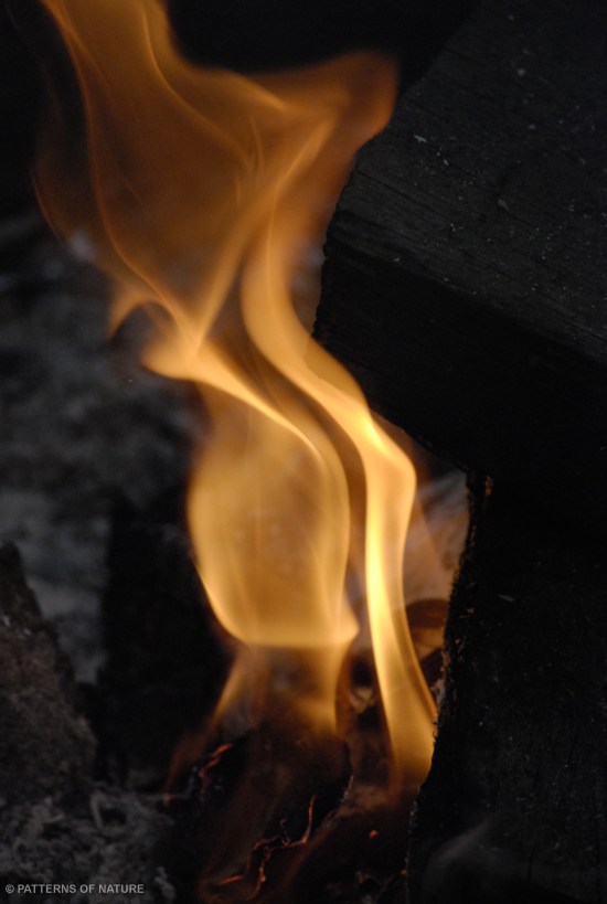 FIRE 6