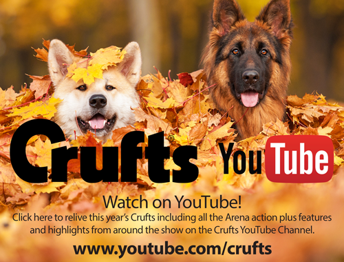 cruftsyoutube