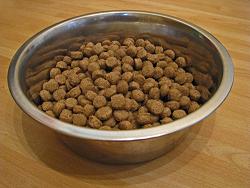 kibble
