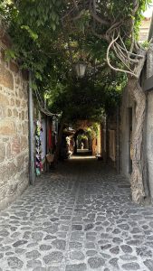 A street of Mythmina. Cobblestone pavement.