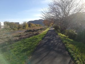 autumn riverside
