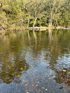 A serene view of a calm body of water surrounded by lush greenery