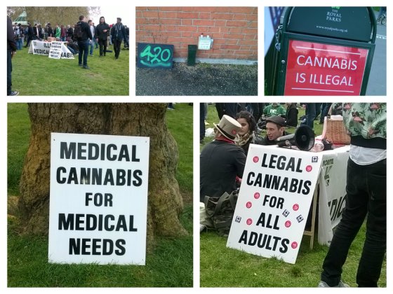 Cannabis Signs