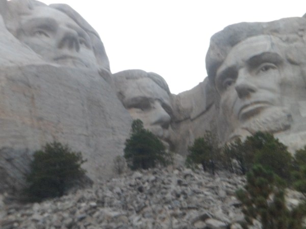 SAM_5675