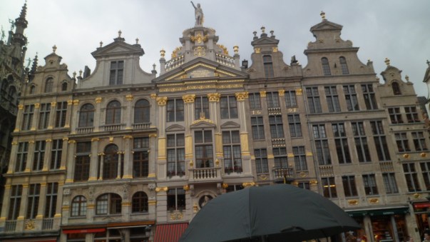 SAM_1195