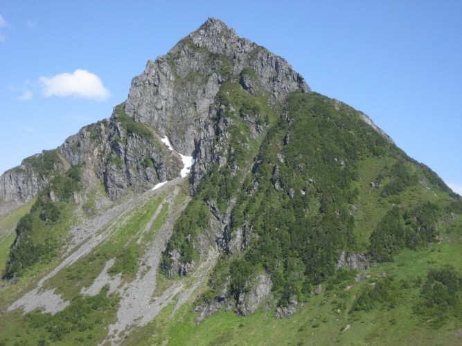459