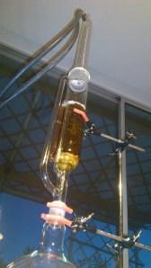 Soxhlet apparatus