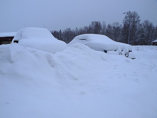 loevasen_090208_2 loevasen_090208_2