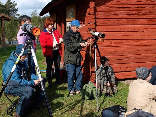 kyrkbytjarn_7_lissel kyrkbytjarn_7_lissel