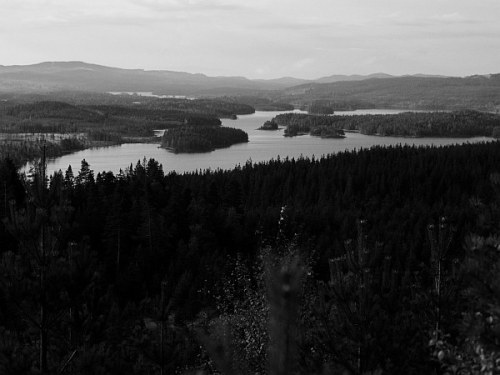 naas_narsen_bw naas_narsen_bw