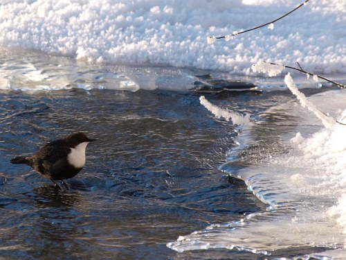 stromstare_20100109