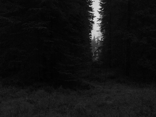 kestina_bw