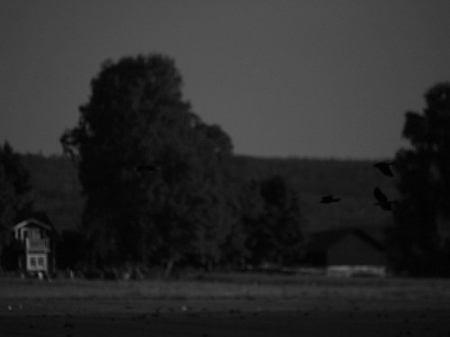 sodersatra_bw
