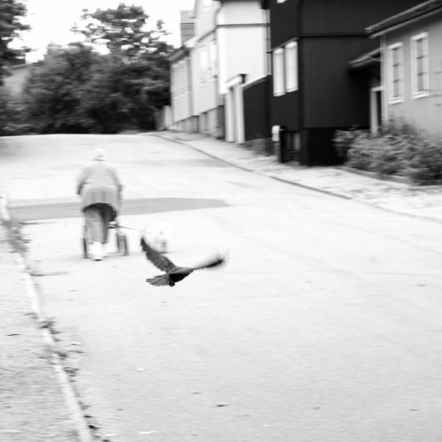 gamla_gavle_kajan_bw
