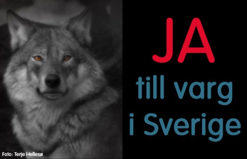 jatillvarg