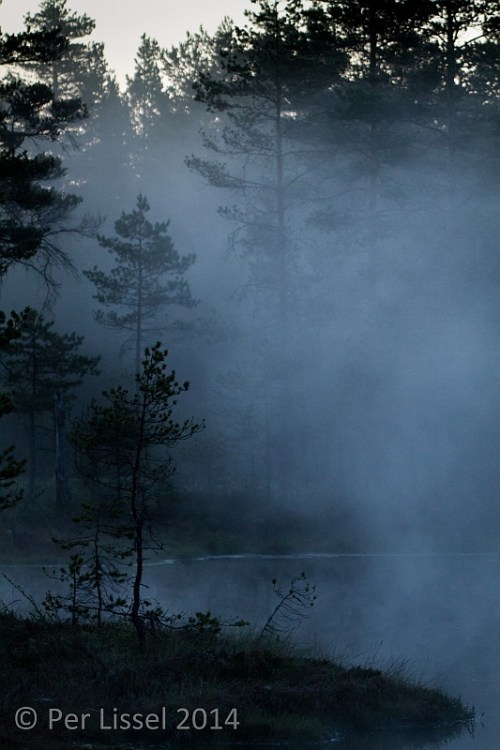 morgon_khm_01_20140530