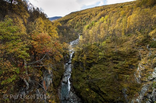 vinstradalen_1_20140925