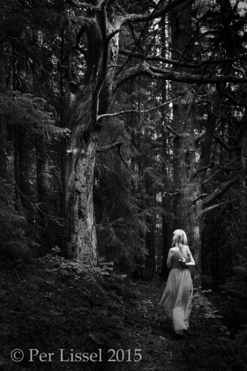 ida_1_4588_bw2__20150711