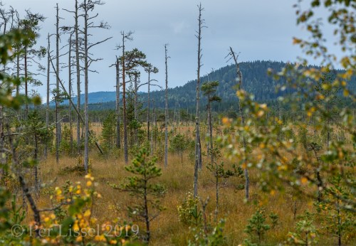 a4_27D20278-Pano_20190917