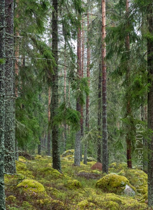 d1_27D20616-Pano_20191120