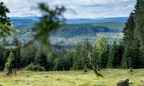 11_20210808-_EM50786-Pano-23