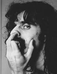 Frank Zappa, pondering the idea of a Hall of Fame for rock musicians