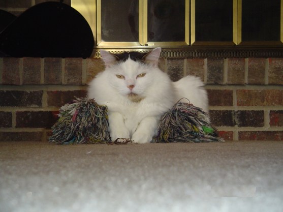 Mad Cat 2