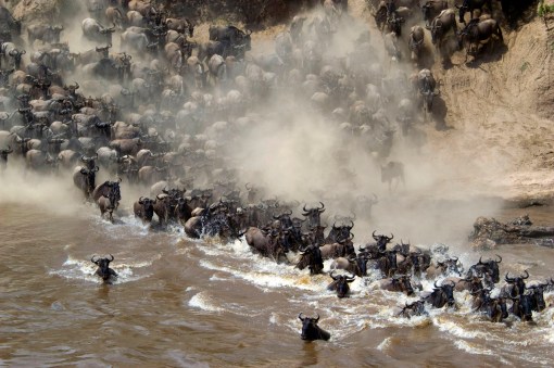 kenya annual migration