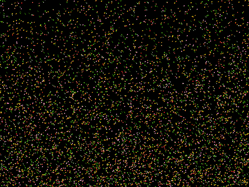 Example Image