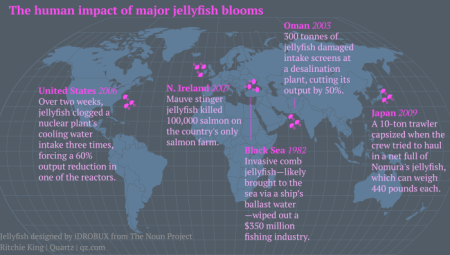 jellyfish-map-featured