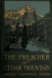 The Preacher of Cedar Mountain The Preacher of Cedar Mountain