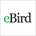 web-button-large eBird