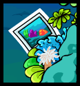 Coral Reef Background