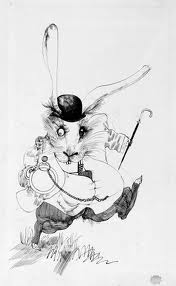 rabbit