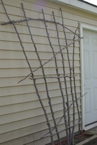 2012trellis2j