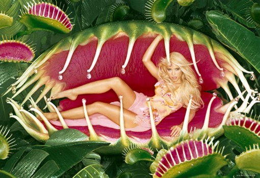 David Lachapelle6