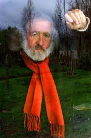 rodolfo opazo bernales7