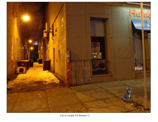 life-in-guelph-22-batman-v2