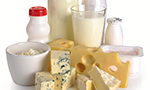Variety of dairy products, including milk in bottles and a glass, various cheeses, yogurt in containers, and a bowl of cottage cheese displayed on a white background. - SciELO in Perspective | Press Releases Variety of dairy products, including milk in bottles and a glass, various cheeses, yogurt in containers, and a bowl of cottage cheese displayed on a white background.