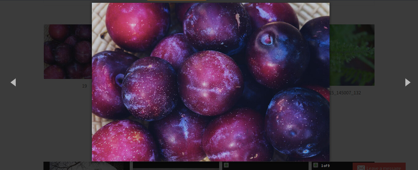 Front-end example of image lightbox.