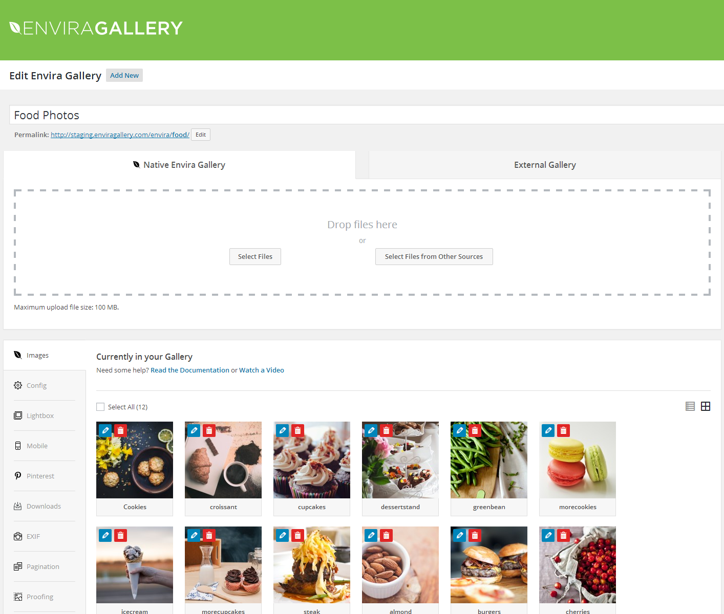 Envira Gallery post type overview screen.