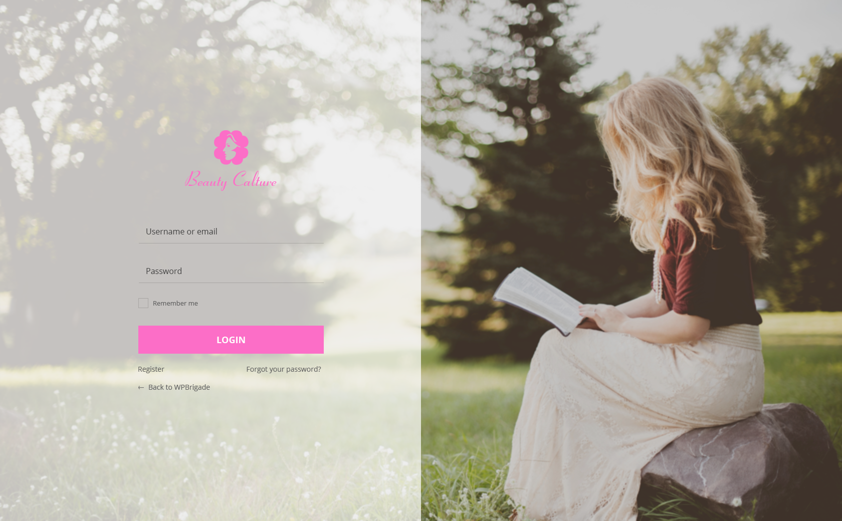 Custom Login page (Persona theme) Example #4 Pro feature